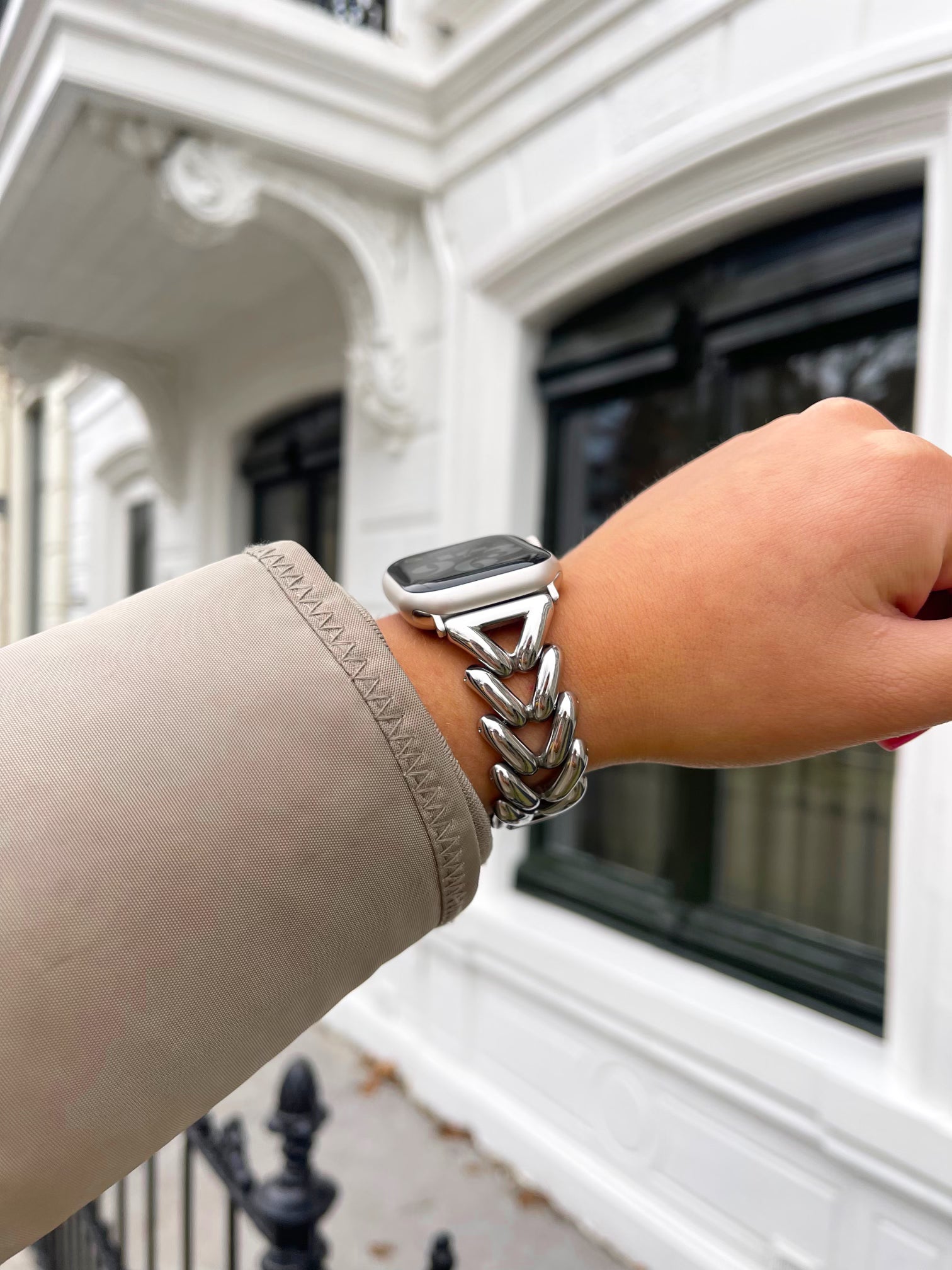 Apple Watch V strap - silver